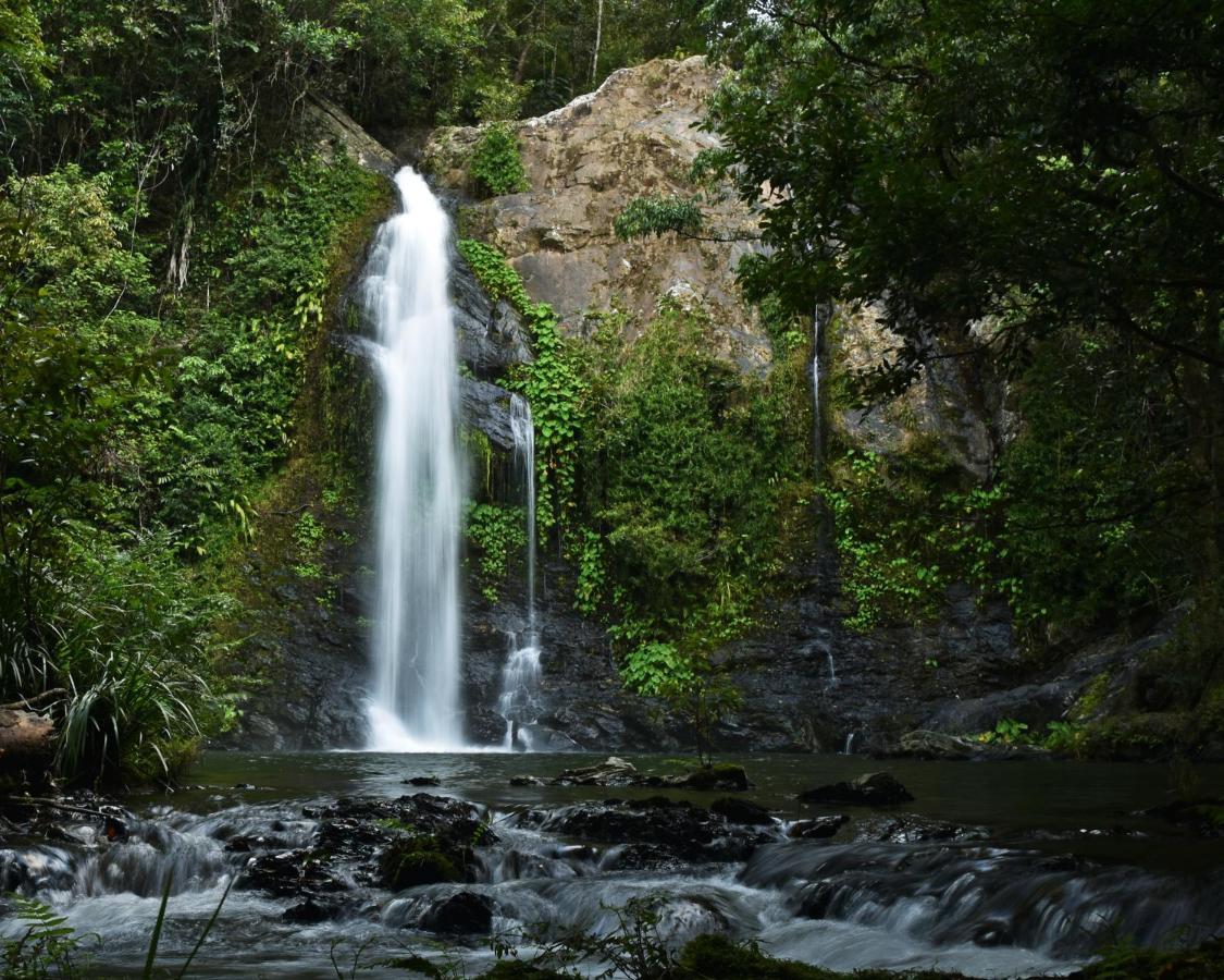 Cassowary Falls Gateway דאינטרי מראה חיצוני תמונה